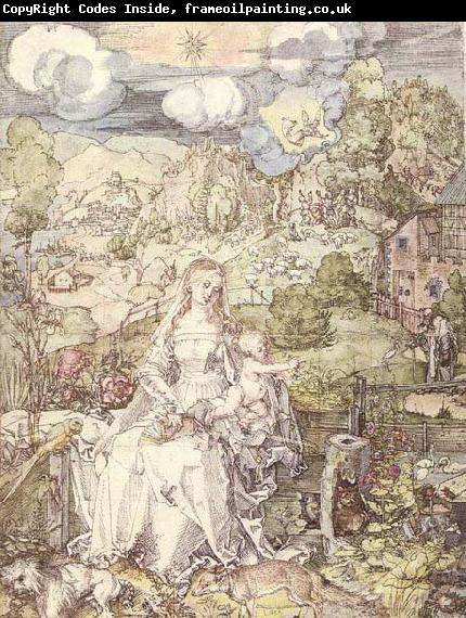 Albrecht Durer The Virgin among a Multitude of Animals